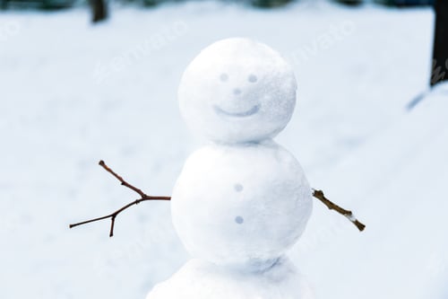Preview: Smiling Snowman With Stick Arms In Snow