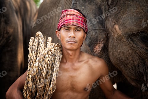 Preview: Elephant and mahout at sunrise in Thailand