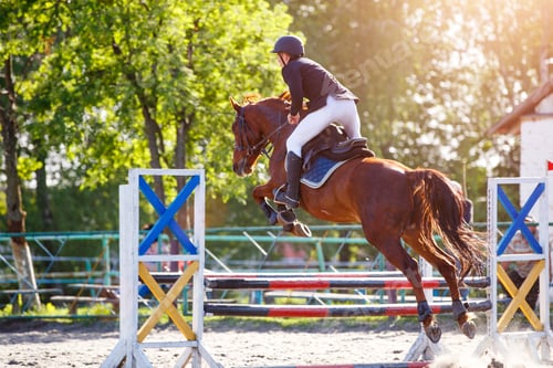 Preview: Young sportsman riding horse bounding over obstacle on showjumping competition