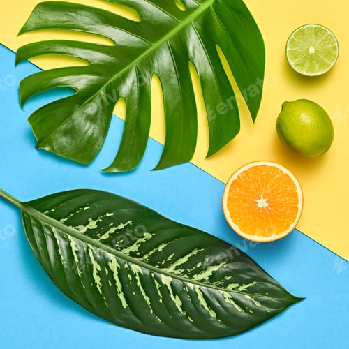 Preview: Tropical