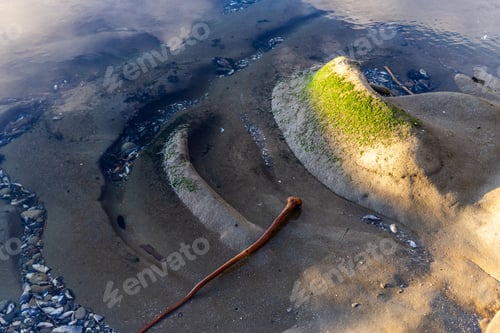 Preview: Serene Coastal Landscape at Port Renfrew, Vancouver Island, British Columbia