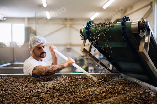 Preview: Close up of sunflower seed processing in a factory.