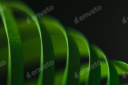 Preview: close up view of green quilling striped paper on black