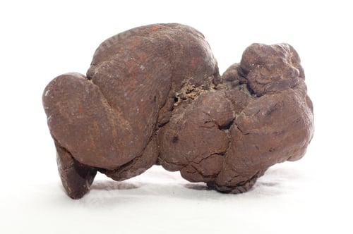 Preview: pseudocoprolite, fossilized poop