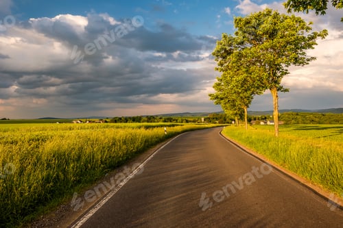 Preview: Rural road between fields in warm sunshine under dramatic sky