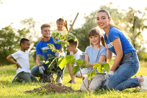 Preview: Kids planting trees with volunteers in park