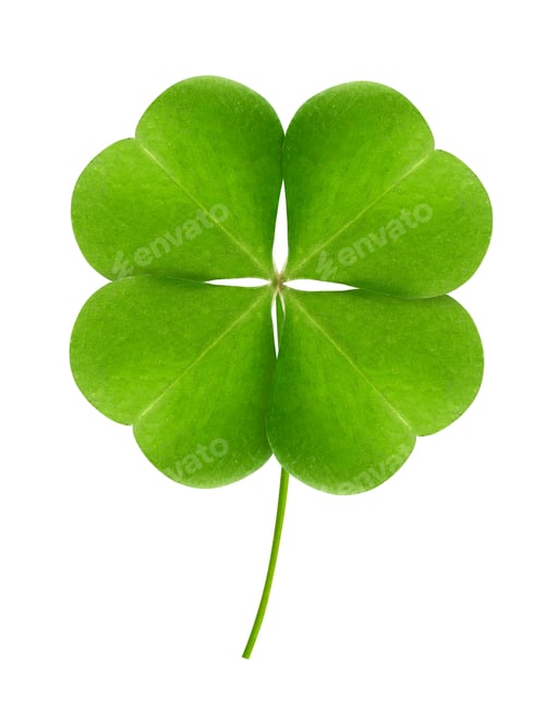 Preview: Fresh green clover leaf isolated on white