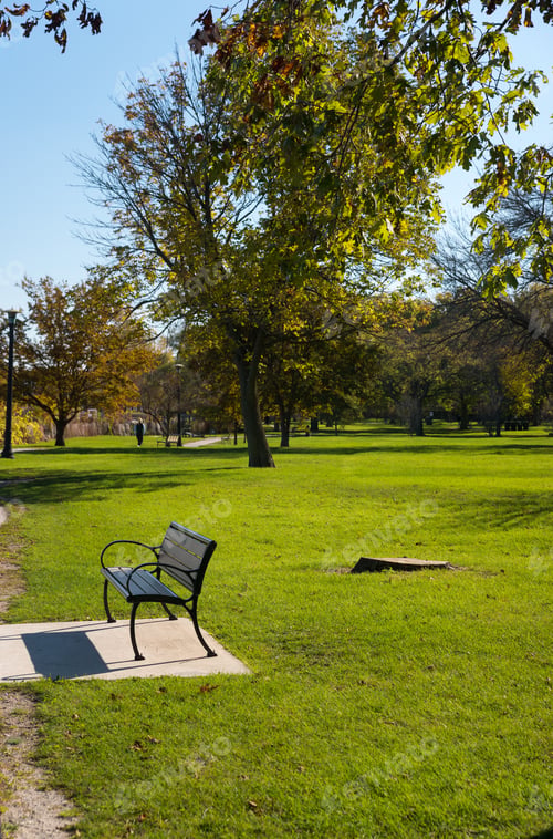 Preview: Metal Bench In The Park In Evanston