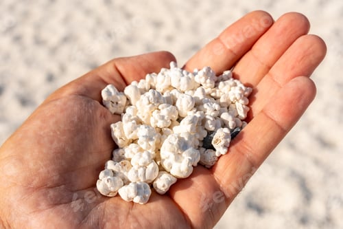 Preview: Popcorn Beach near the town of Corralejo, north of the island of Fuerteventura