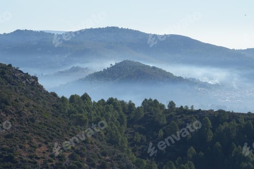 Preview: many trees on top of a mountain covered with mists
