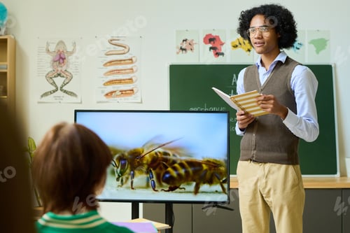 Preview: African American guy with copybook standing by interactive display with bees