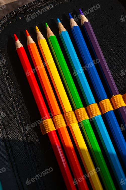Preview: multi-colored pencils in a schoolboy's pencil case