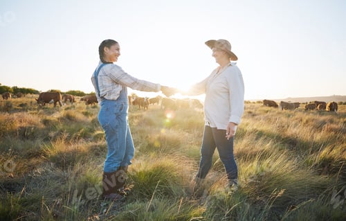 Preview: Farmers, shaking hands or b2b partnership deal for sustainability, agriculture or meat production o