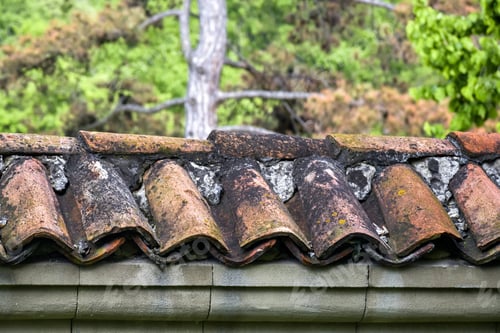Preview: Old stone fence covered with antique brown tiles covered with moss, on blurred green background.