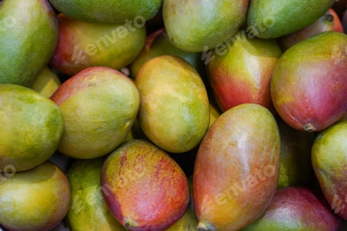Preview: mangos background, fresh fruits mango in the grocery store