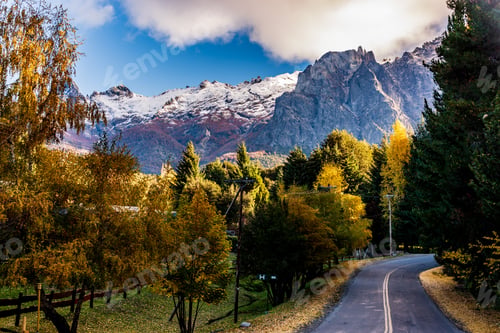 Preview: Beautiful shot of a road through a dense forest in Bariloche, Patagonia, Argentina