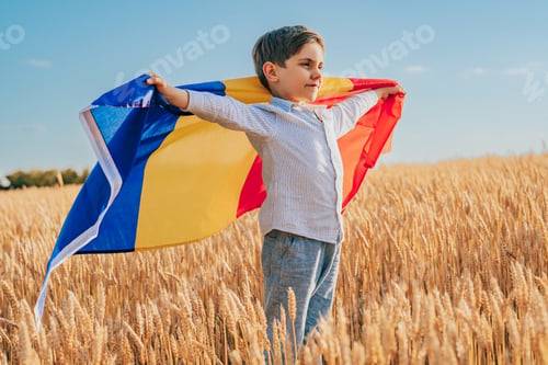 Preview: Romanian Little Boy Standing In Golden Wheat Field Holding Romania National Flag