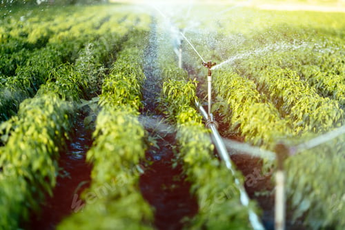 Preview: Irrigation system in function