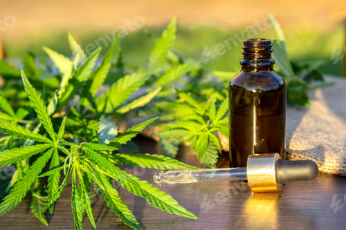 Preview: Green branch cannabis with five fingers leaves and pipette dropper with drop near glass bottle with