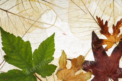 Preview: Leaves