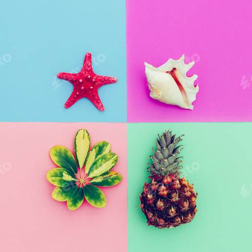 Preview: Beach set. Pineapple shells tropical plants. Minimal art