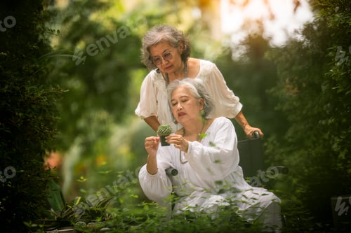 Preview: Two elderly women, one sitting in a wheelchair, enjoying time together in a park, surrounded by gree