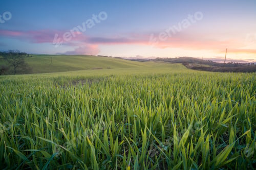 Preview: Wonderful empty green fields
