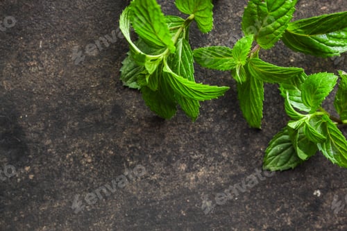 Preview: Mint, Fragrant Green Petals (Food Decoration) Menu Concept. Food Background. Copy Space. Top View