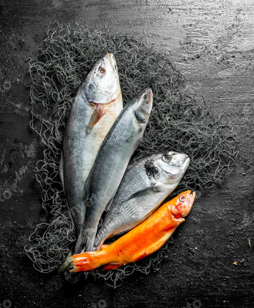 Preview: Fresh fish on the fishing net.