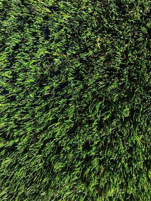 Preview: Synthetic grass