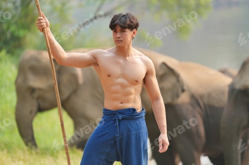 Preview: Asian elephants in the park with young man