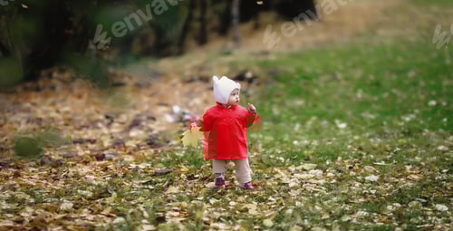 Preview: Adorable Toddler Exploring a Beautiful Autumnal Park