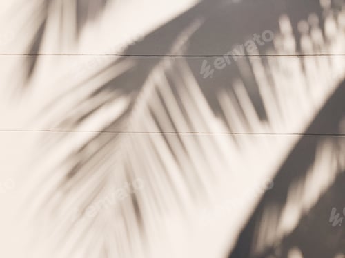 Preview: Light and shadow