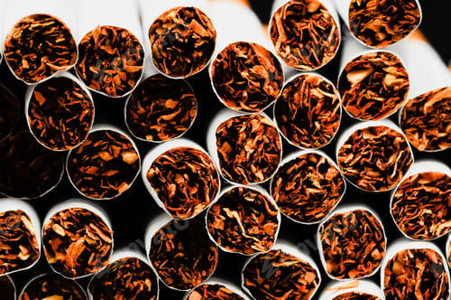 Preview: Closeup shot of tobacco cigarettes