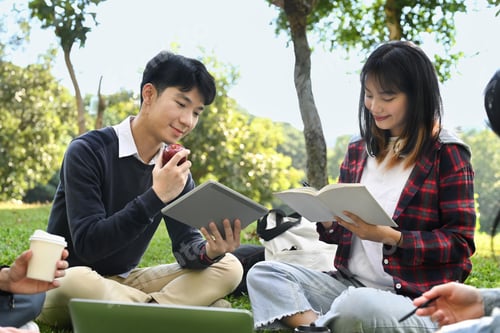 Preview: Image of university students chatting with each other after class on grass in the campus.
