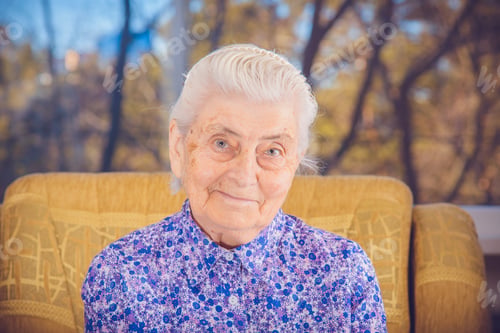 Preview: Portrait Of An Elderly Grandmother