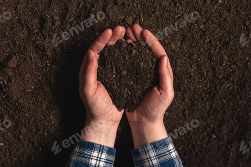 Preview: Soil fertility analysis as agricultural activity