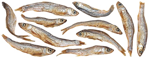Preview: Small dried fish isolated on white background, salty anchovy, full depth of field