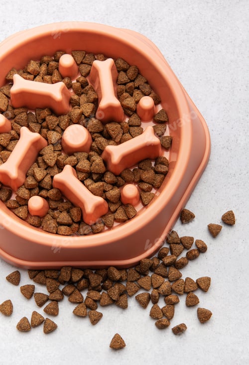 Preview: Slow feeder dog bowl preventing gulping and improving digestion