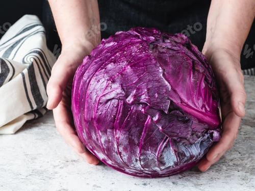 Preview: Red cabbage head