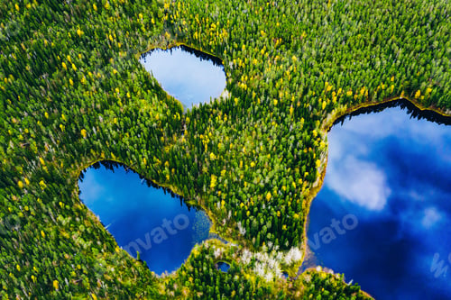 Preview: Aerial drone view of blue water lake and colorful tree woods in fall Finland.