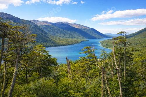 Lake landscape