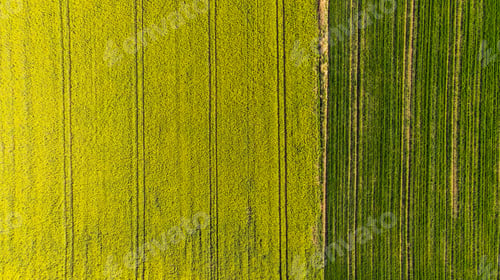 Preview: Abstract pattern in farmland fields at spring, aerial view, dro