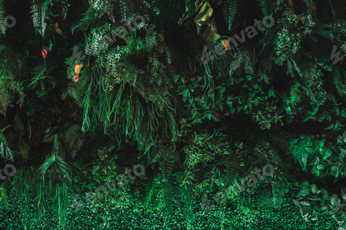 Preview: Herb wall, plant wall, natural green wallpaper and background.