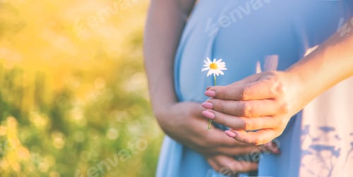Preview: pregnant woman with camomiles in hands. Selective focus.