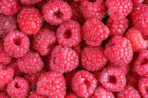 Preview: Fresh Ripe Raspberries Macro, Closeup With Juicy Texture And Vibrant Red Color. Food Background