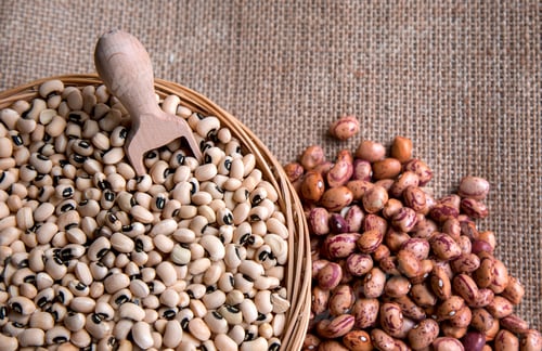 Preview: Healthy Vegetarian Raw Food Legumes
