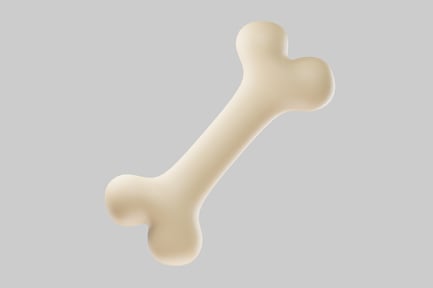 Preview: Elongated bone pendant with apex and attachment loop