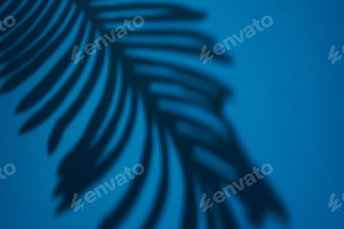 Preview: Beautiful fern leaves shadow colored background in artificial light
