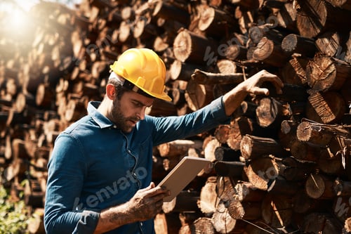 Preview: Cropped shot of a lumberjack using his tablet while standing in front of a pile of wood